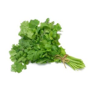 Fresh Dhania/Coriander