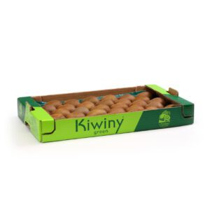 Fresh Kiwi